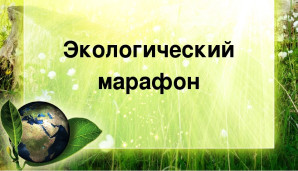 Всероссийский конкурс "Экологический марафон" 1