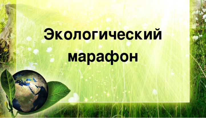 Всероссийский конкурс "Экологический марафон" 1